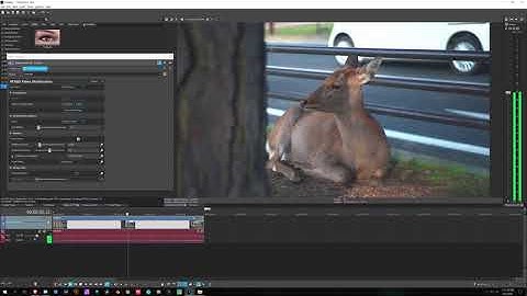 Vegas Pro 18: How to Stabilize Video