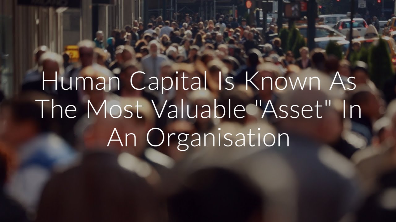 Human Capital Solutions