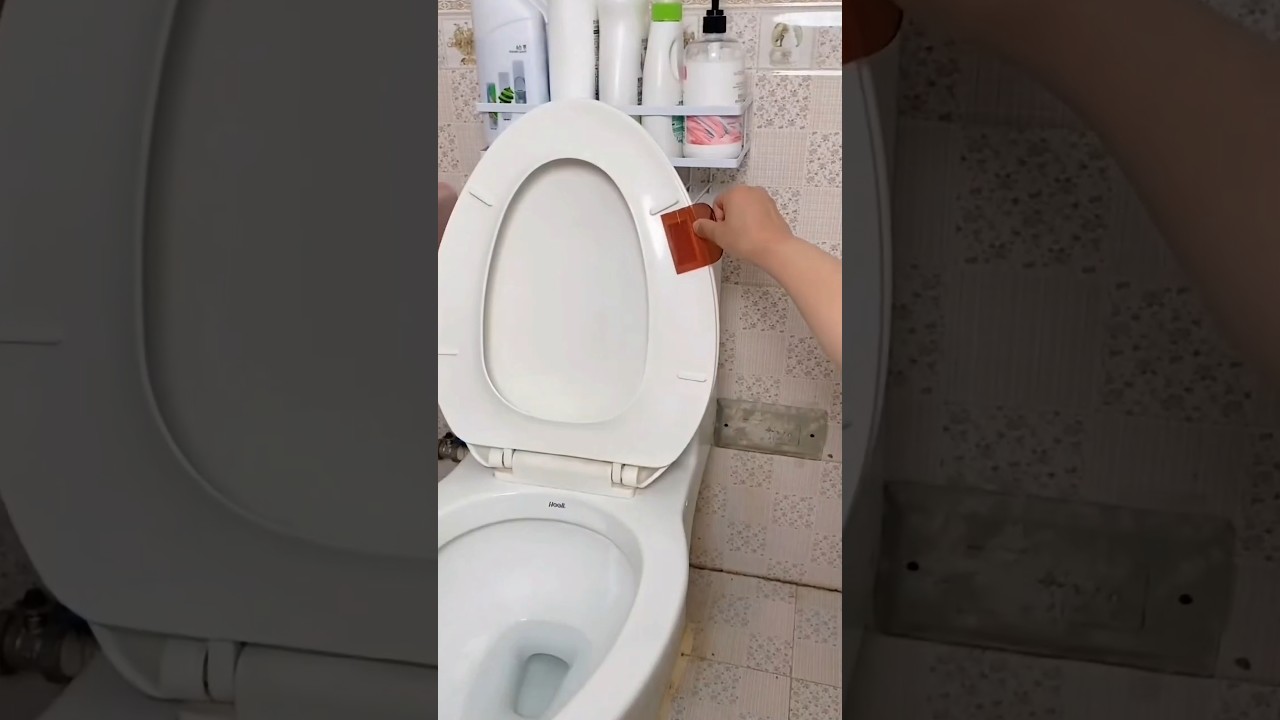 Toilet seat lifter mini handle Commode seat lifter online available on Amazon Flipkart