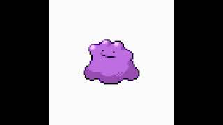 Song with just Ditto's cry