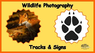 Wildlife Photography &amp; Tracks &amp; Signs