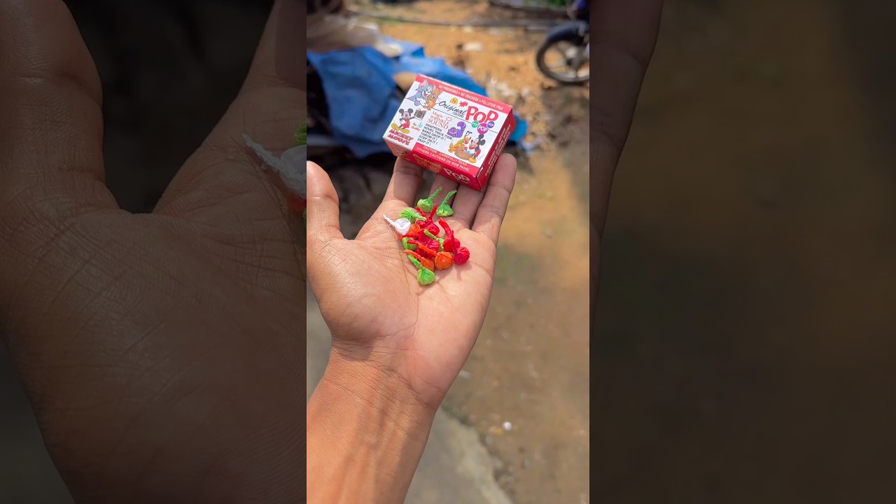 🌀🌀தங்கச்சி பூண்டு வெடி | Sister garlic cracker😂 | #shorts #youtubeshorts #crackers #diwali