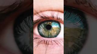 ai eye scanning app by lina rafik  Ophthalmology Eye injury screenshot 3