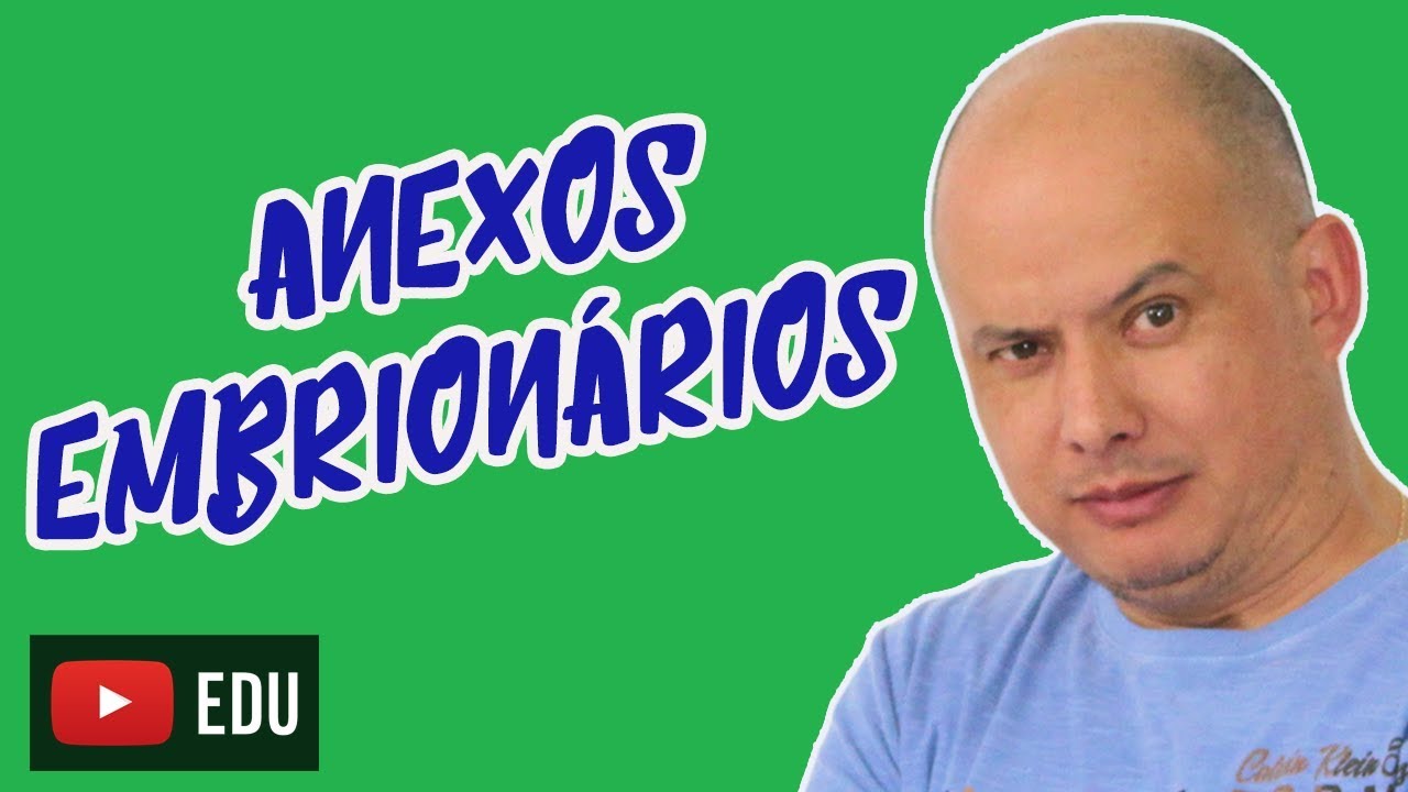 Anexos Embrionários:Âmnio, alantoide, cório, saco vitelínico e placenta