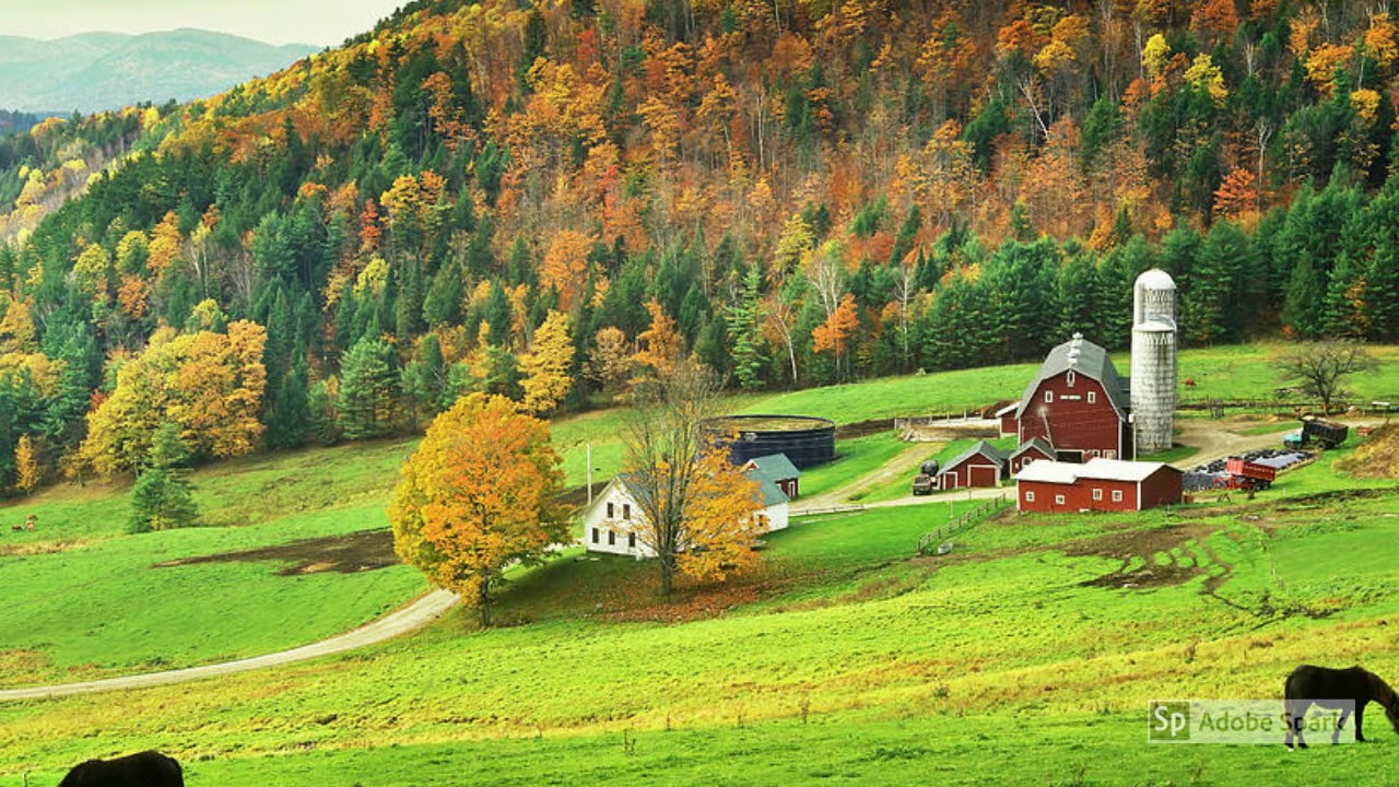 Lake Champlain Chocolates pricing