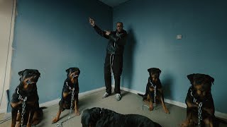 Download Lagu AJ Tracey - Ibiza (feat. Blade Brown) MP3