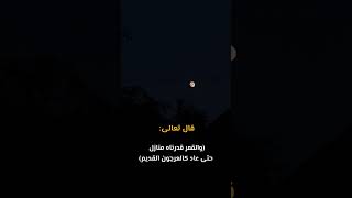 تلاوة - والقمر قدرناه منازل