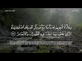 في بيوت أذن الله أن ترفع ويذكر فيها اسمه تلاوة خاشعة للشيخ ماهر المعيقلي 