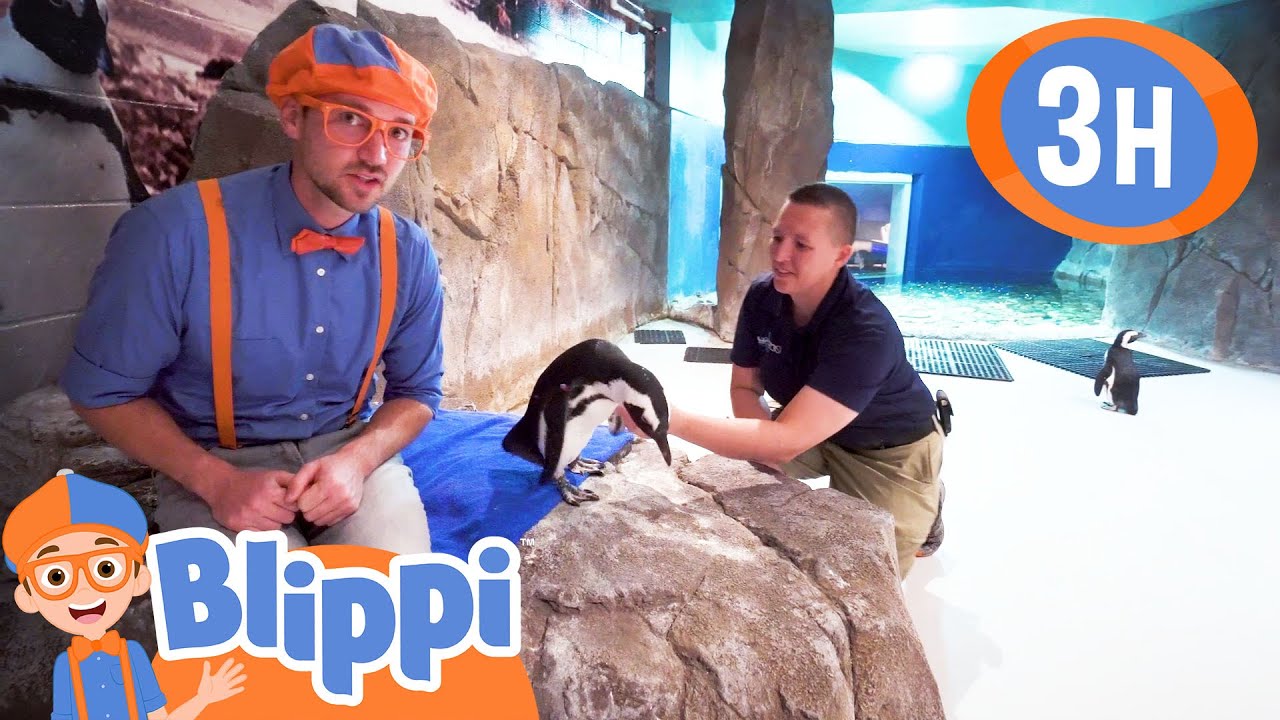 Blippi Learns About Penguins! Cool Zoo Animals & Fun Facts ❄️ + More | Moonbug - Healthy Habits