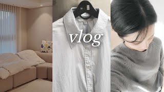 vlog. 직장인 일상 브이로그 | 옷 관리 day • 빈대 퇴치  스팀다리미 추천 • 어메이징오트  ☕️