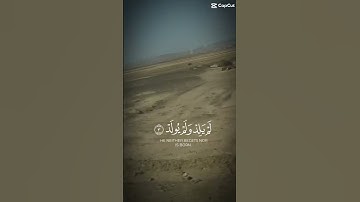 ارح قلبك ❤️ #قران_كريم #اكسبلور #المصحف #viral #الرحمن #قرآن #سورة_الإخلاص #تلاوة_خاشعة