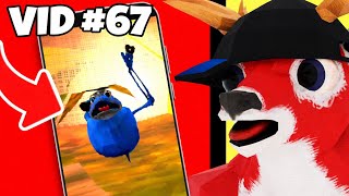 FUNNIEST VIDEOS Of Animal Company! | COMPILATION