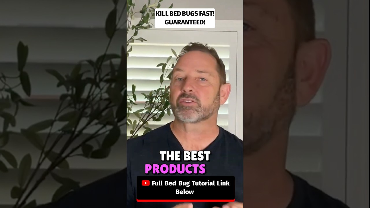 Быстро уничтожает клопов 🔥 (Гарантированный метод)