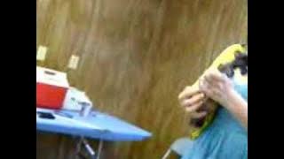 Theresa Andersson Jazz Fest 2008