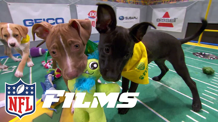 Behind the Scenes of the Puppy Bowl | NFL Films Pr...