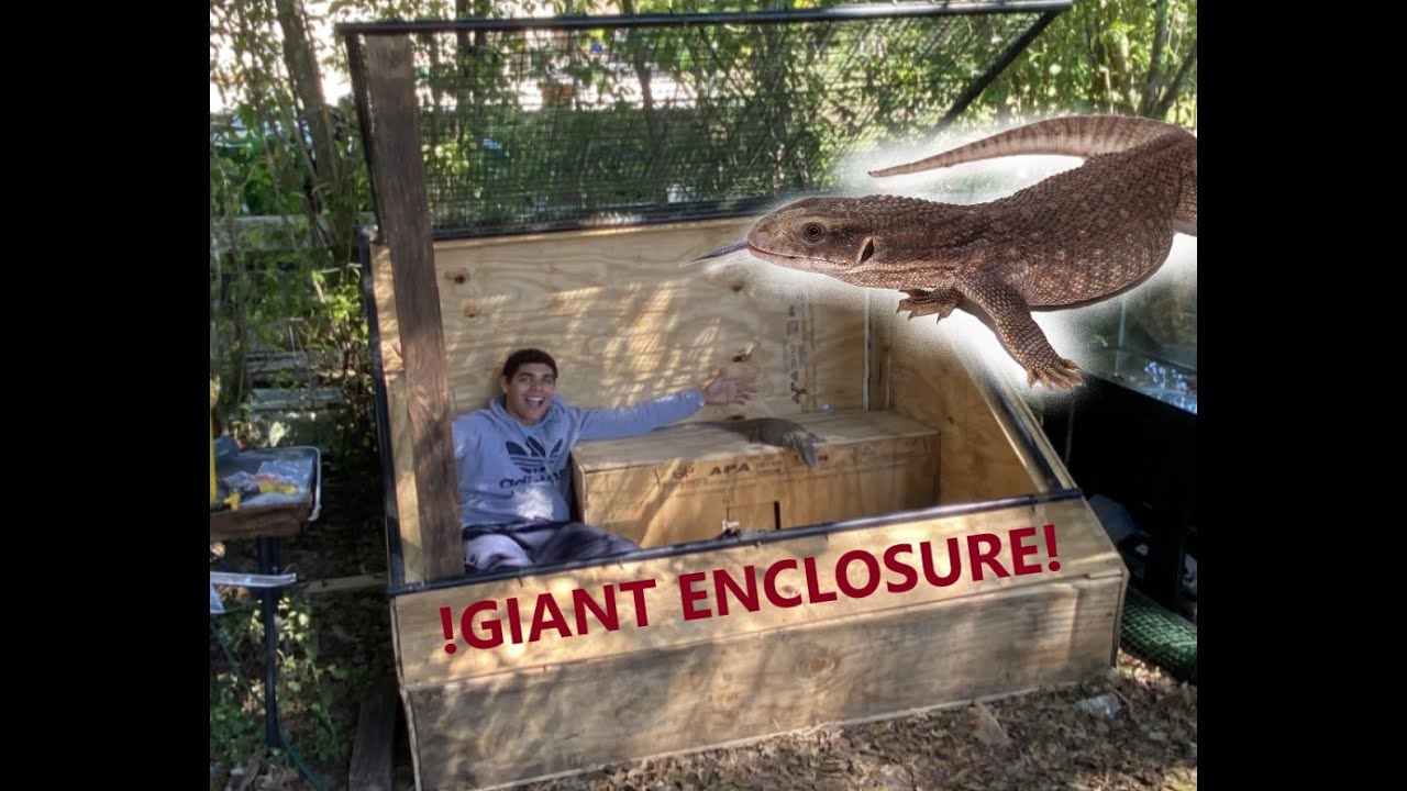 Huge DIY Monitor Lizard Enclosure Build savannah Monitor YouTube huge-diy-monitor-lizard-enclosure-build-savannah-monitor-youtube