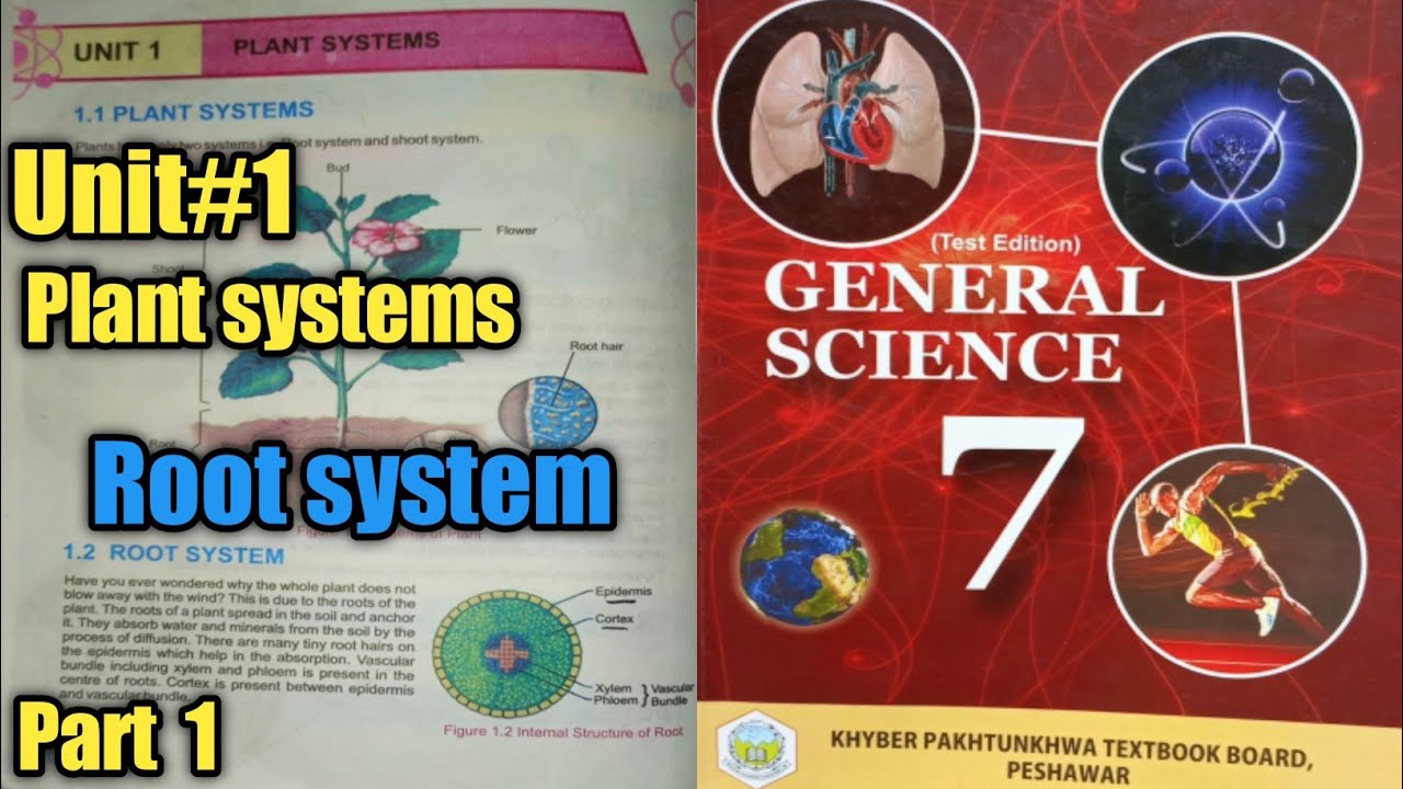Grade 7 new course unit1 plant systems Root system and types of