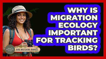Why Is Migration Ecology Important For Tracking Birds? - Bird Watching Diaries