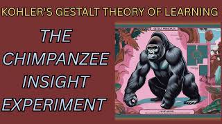 Insight Learning | Köhler’s Chimpanzee Experiment 🧠 | Gestalt Psychology Explained@SimpleSpark-7