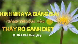 Kinh NIKAYA Giảng Giải – Thánh Trí Năm Uẩn 13 – Thấy Rõ Sanh Diệt