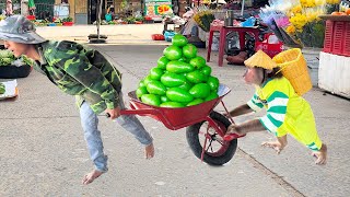 Download Lagu CUTIS \u0026 Dad harvest avocados to sell market, do the unbelievable for baby monkey MP3 Download Lagu CUTIS \u0026 Dad harvest avocados to sell market, do the unbelievable for baby monkey MP3