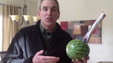 Survival Skills 101: Airplane Self-Defense