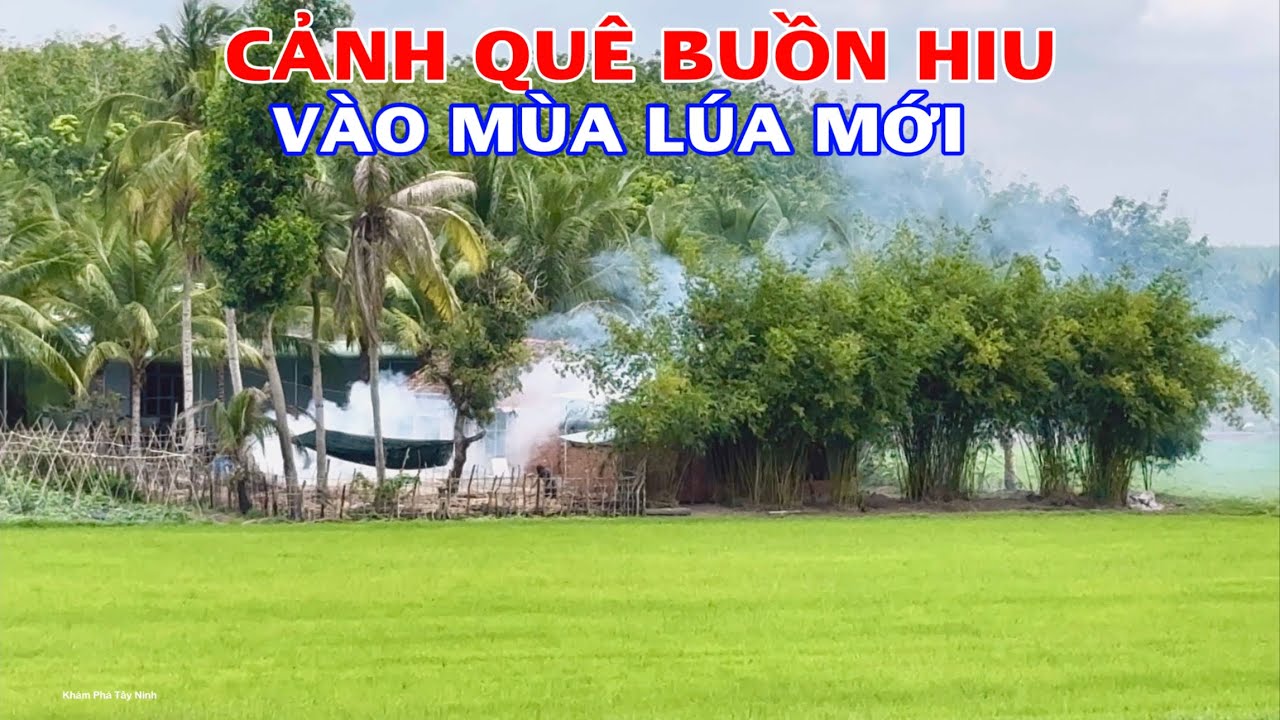 Khám Phá Vùng Quê Xã Hào Đước Và Xã An Cơ Huyện Châu Thành Tây Ninh
