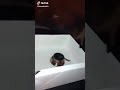 لما صحابك يعملولك عيد ميلاد اخر الشهر مسخره