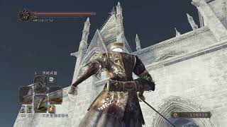 DARK SOULS 2 Aava Never Die
