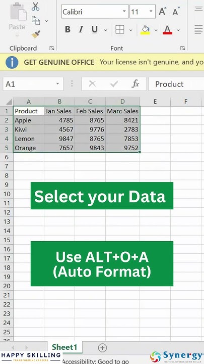 auto-format-in-ms-excel-excel-tutorial-youtube