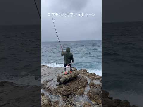 #打ち込み釣り#BKG#ゴマモンガラ
