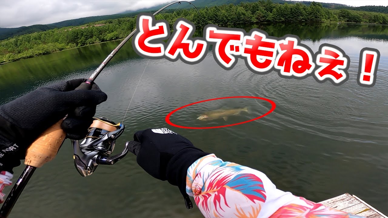 初心者の女が八千穂レイクで巨大ニジマスを連発する エリアトラウト 管理釣り場 後編 Hartdesign Tv ハートデザインtv Vol 290 Youtube