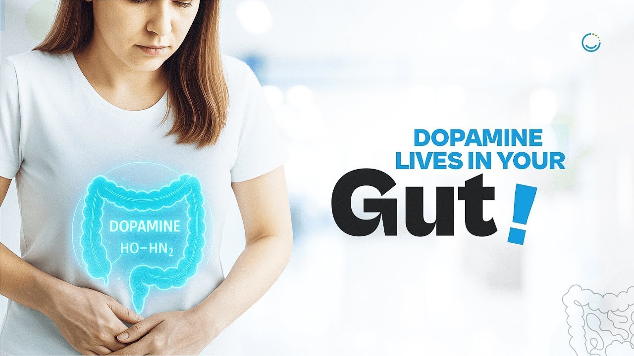 Why Your Gut Controls Dopamine, Serotonin, and Your Mood