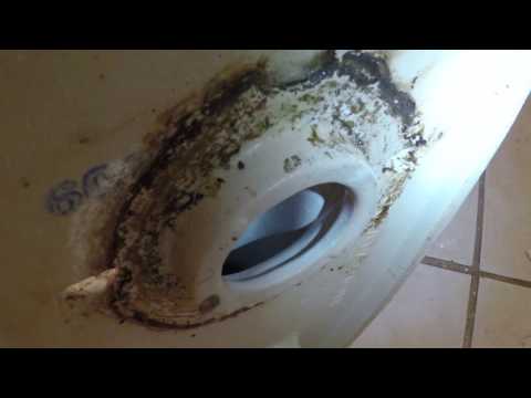 how-to-repair-upstairs-toilet-leaking-into-downstairs---phoenix,-az