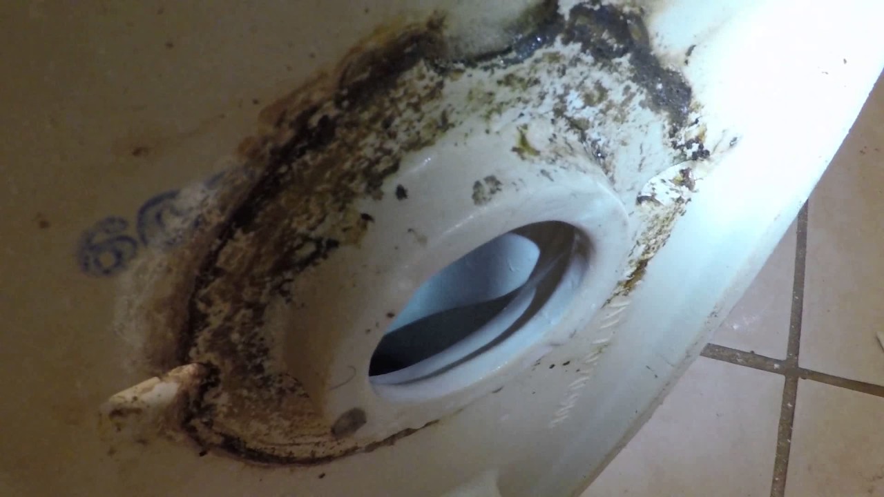 Toilet Leaking Into Basement When Flushed
