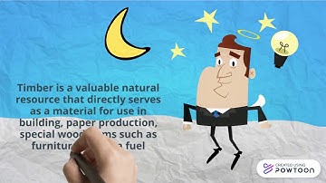 Timber structural system of building (Part 1)