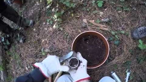 Life FoResMit. Soil and forest floor sampling