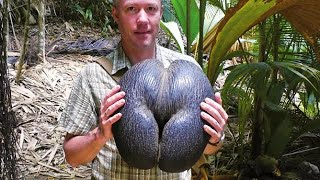 видео: Как только взял в руки сразу понял, что с этим надо сделать. Топ находок. картинка: Как только взял в руки сразу понял, что с этим надо сделать. Топ находок.