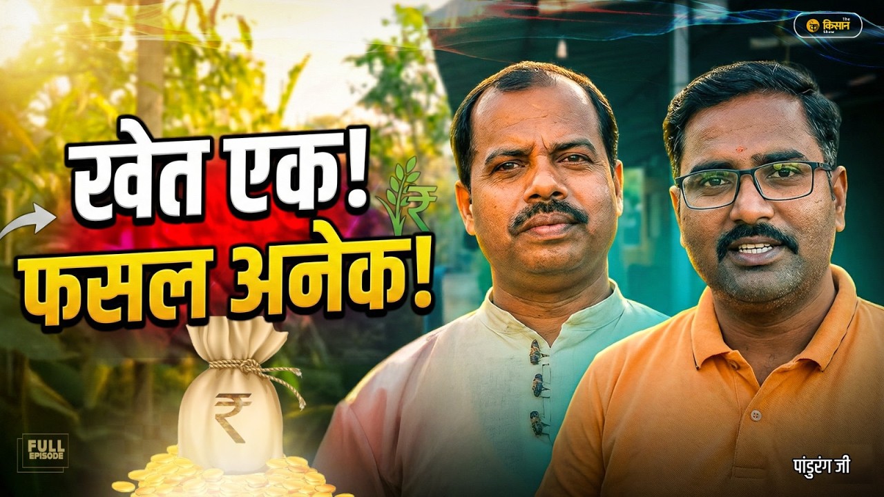 नौकरी 15 हजार की या खेती 1.5 लाख की  #farming  #agriculture  #agribusiness  #organicfarming