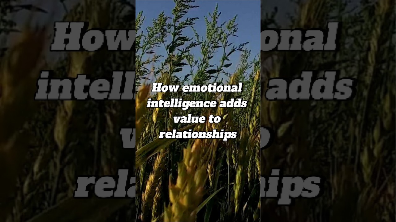 It's not Grand gestures that keep relationship strong. #motivation #advice #love