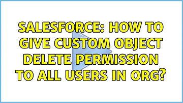 Salesforce: How to give custom object delete permission to all users in org? (2 Solutions!!)
