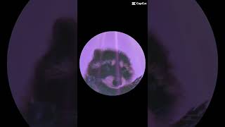 copy 6C7ABCA5 5A87 432E 9536 6A1692B550AF