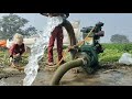 Deisel engine Water pump set ingenious | पानी वाला ईंजन से पानी निकालना