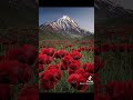 Music Kurdî  أغنية كردي لولو سوارو أجمل اغاني كردي 🌺🍁❤️🌹لا تنسوا أشتراك حبايبي