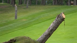 Bemidji Town & Country Club Reopens Golf Course After Clearing 350 Fallen Trees | Lakeland News