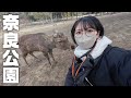 バイクで鹿に会いにいったよ