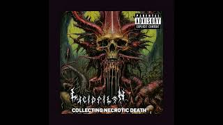 LUCIDFILTH - COLLECTING NECTROTIC DEATH