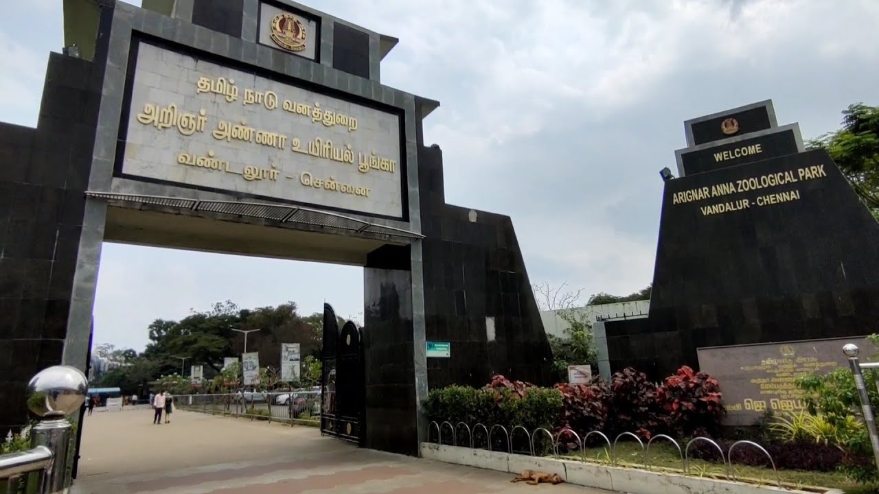 Vandalur Zoo 2022 Part 2 | Arignar Anna Zoological Park , Chennai