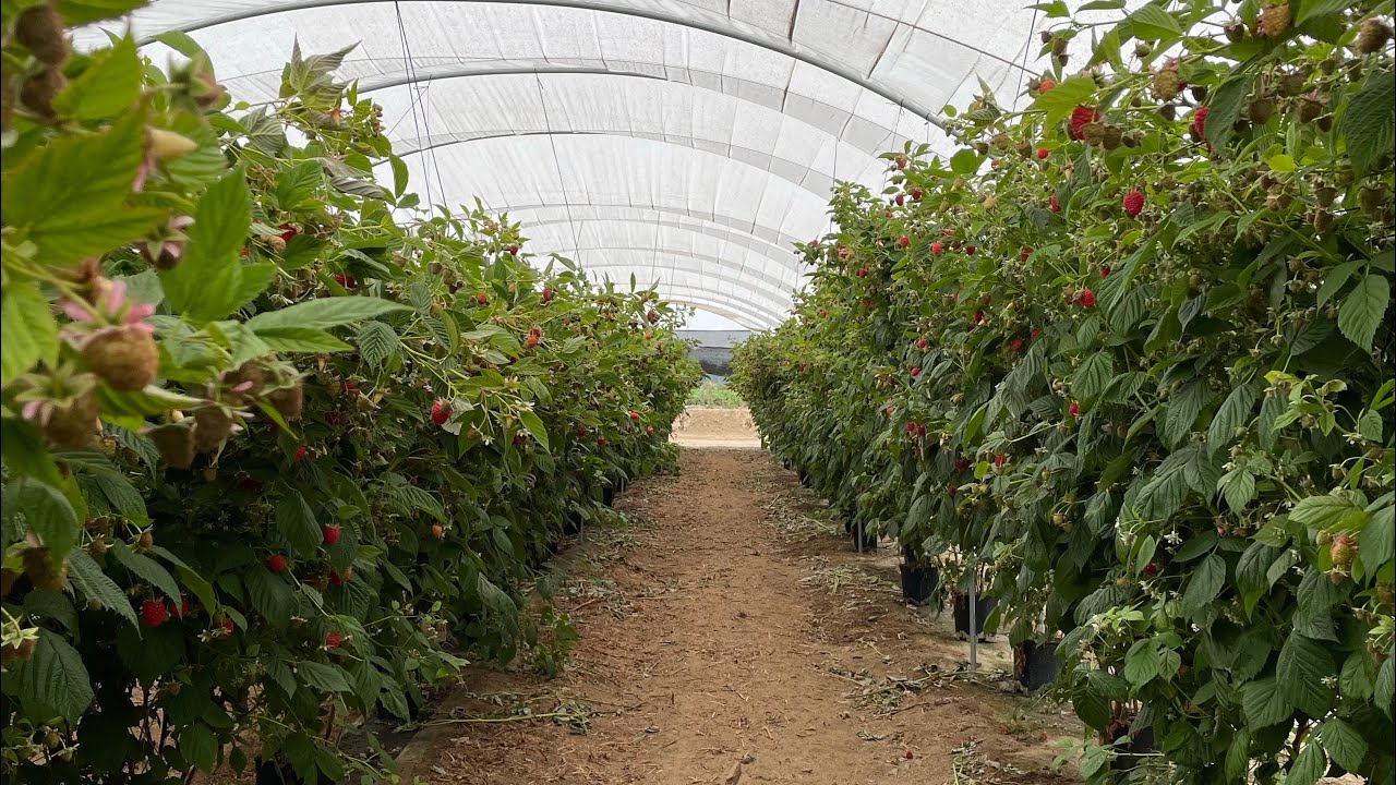 Civil Engineering Forms visual data 7