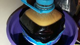 Minha 21A Cerveja Malzbier Schwarzbier - Fermentação